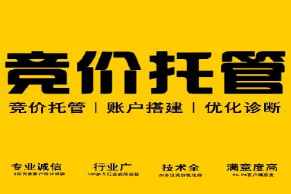 SEM竞价托管实战技巧：案例分析